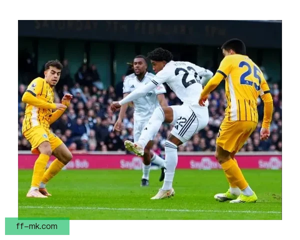 富勒姆成功签下尼日利亚国脚伊沃比引发新赛季英超阵容实力升级期待